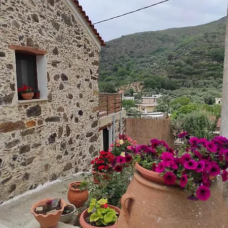 Alexander's Hébergement de vacances